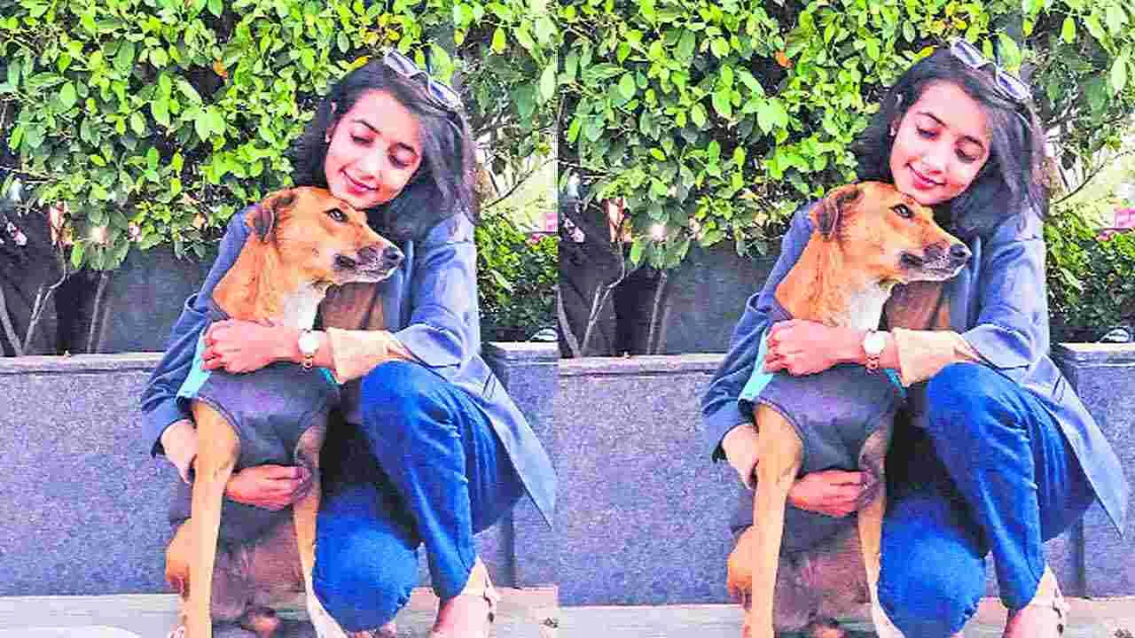 Animal Rescue: నిబద్ధతతో సంరక్షిస్తూ...