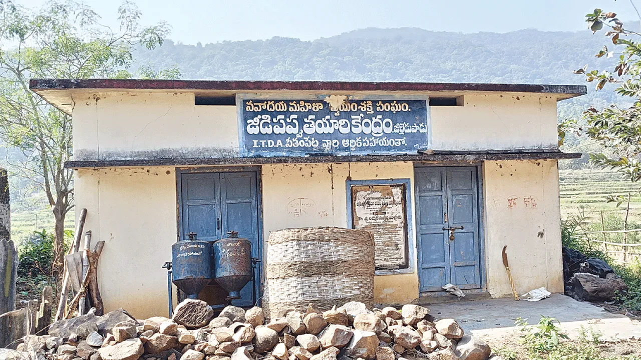 Cashew జీడికి ప్రోత్సాహం?