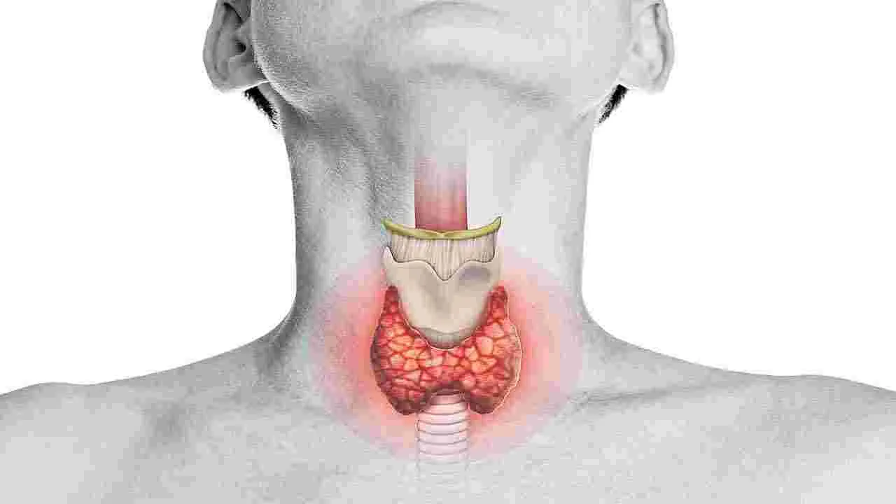 Thyroid health : థైరాయిడ్‌తో తంటా ఎందుకు?