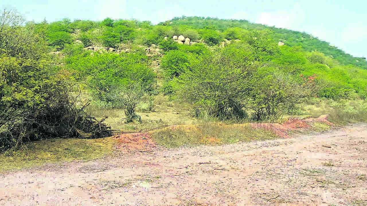 681ఎకరాల గుర్తింపు