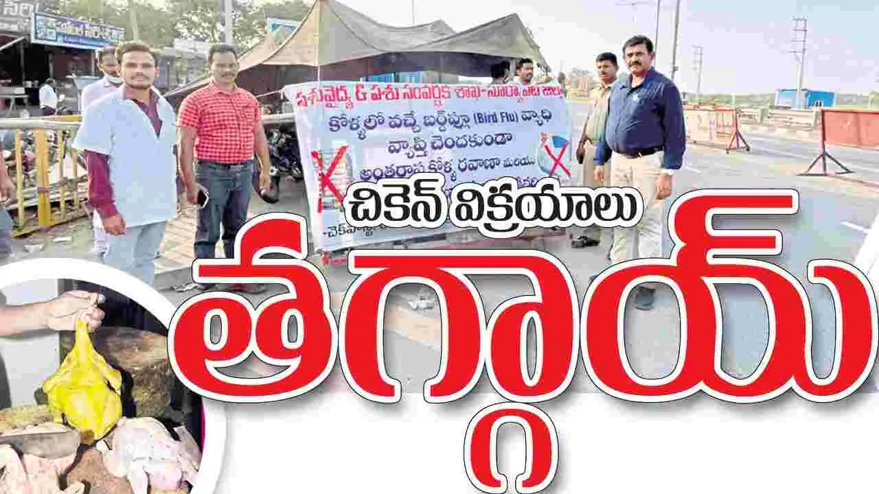 చికెన్ విక్రయాలు తగ్గాయ్
