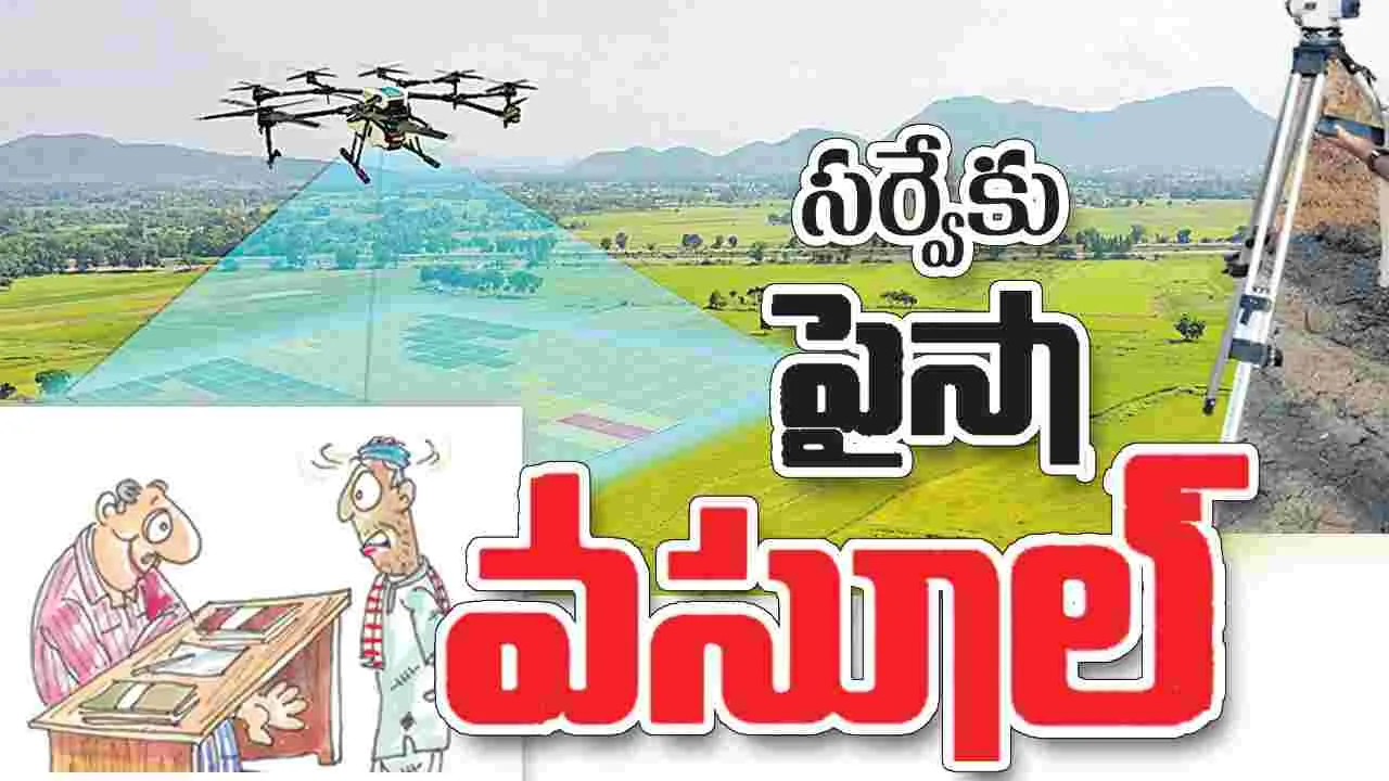 సర్వేకు పైసా వసూల్