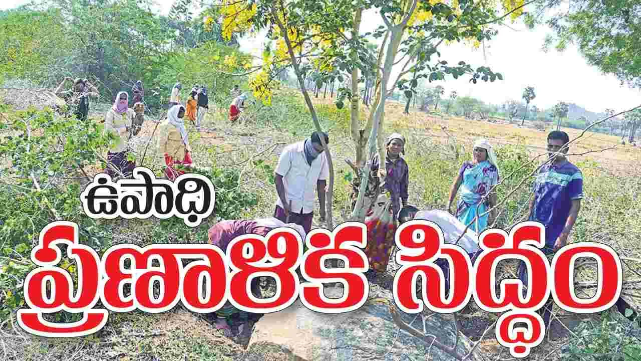 ‘ఉపాధి’ ప్రణాళిక సిద్ధం