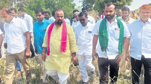 కాళేశ్వరం నీరందకనే ఎండుతున్న పంటలు