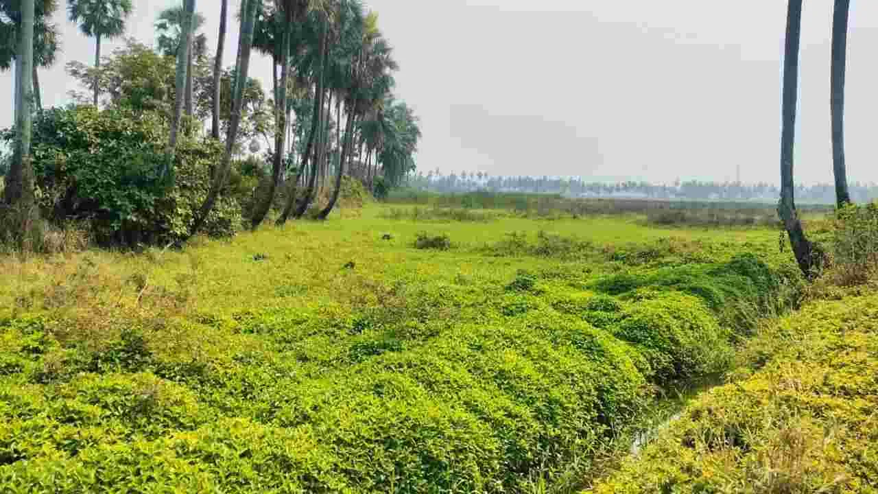 పట్టాలిచ్చారు.. స్థలం ఇవ్వలేదు!