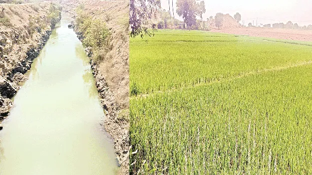 సాగు ప్రశ్నార్థకం..?