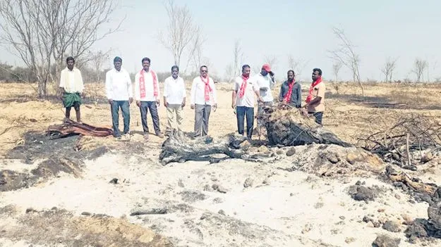 అటవీ అధికారిపై చర్యలు తీసుకోరా?