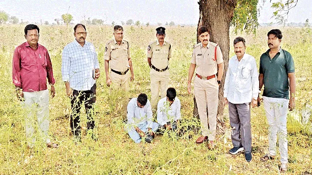 గంజాయి కేసులో ఇద్దరి అరెస్టు