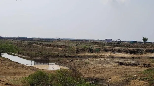 యథేచ్ఛగా ప్రభుత్వ, ఆసైన్డ్ భూముల్లో రొయ్యల చెరువుల తవ్వకాలు