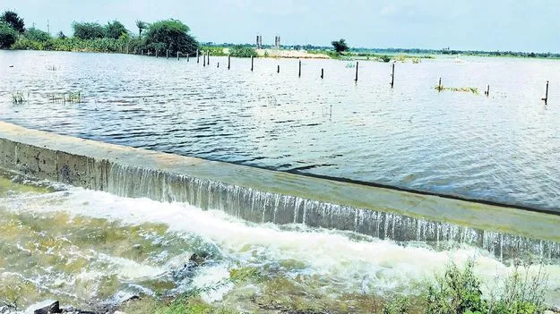 చెరువులు నిండుగా.. పైరు పచ్చగా