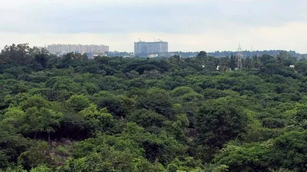 Gachibowli: కంచ గచ్చిబౌలి 400 ఎకరాలు ప్రభుత్వానివే