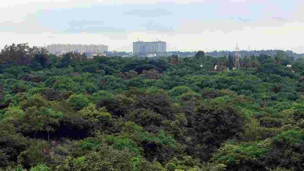 Gachibowli: కంచ గచ్చిబౌలి 400 ఎకరాలు ప్రభుత్వానివే