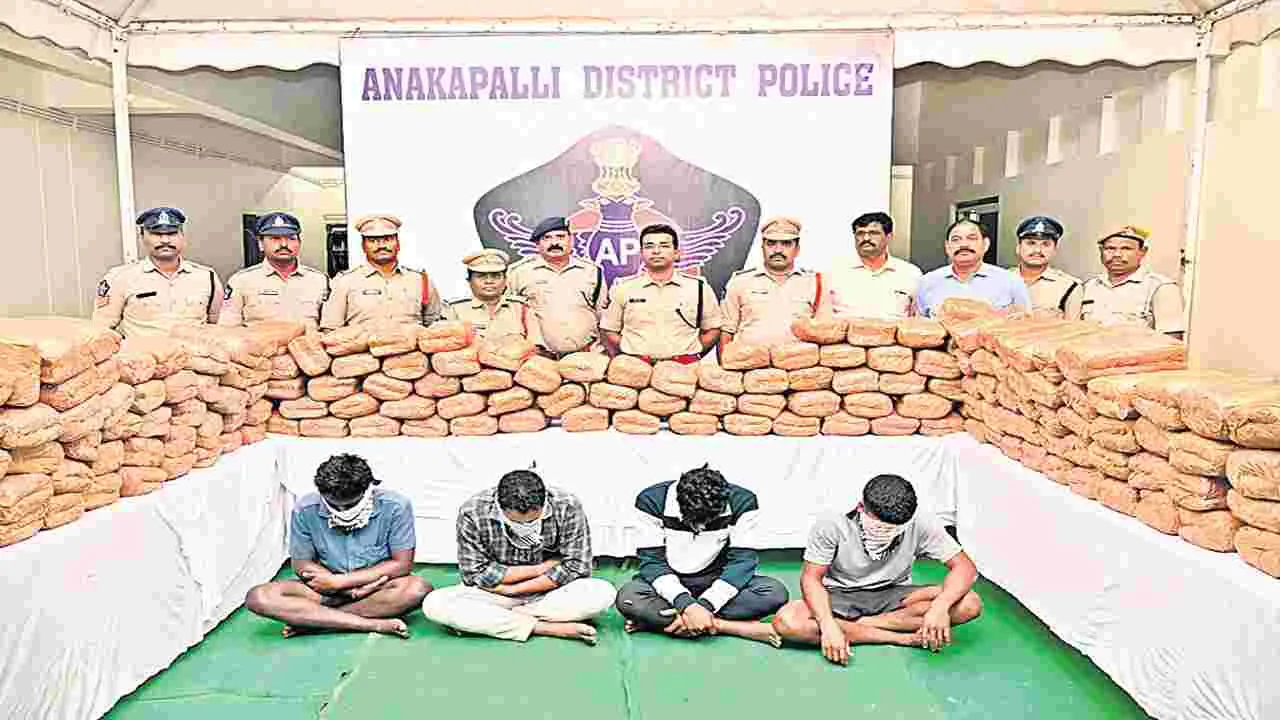515 కిలోల గంజాయి స్వాధీనం