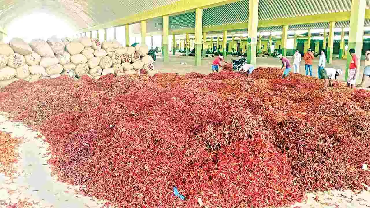 ఎండు మిర్చి ధర పతనం