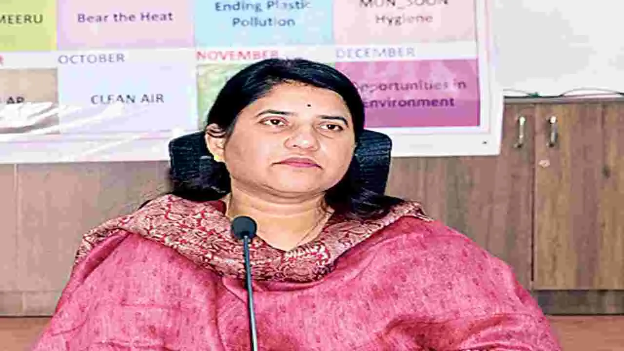క్లోరినేషన్ తప్పనిసరి: కలెక్టర్