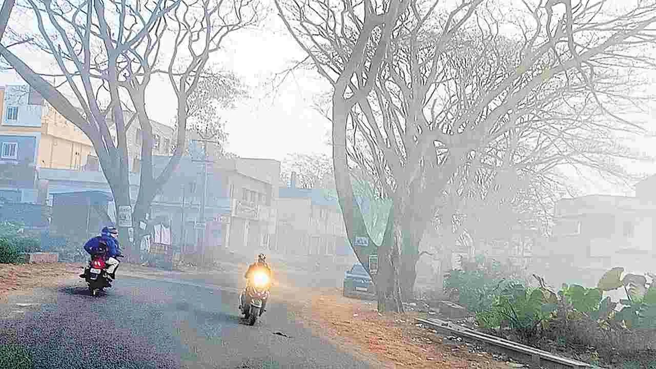 కొనసాగుతున్న చలి తీవ్రత