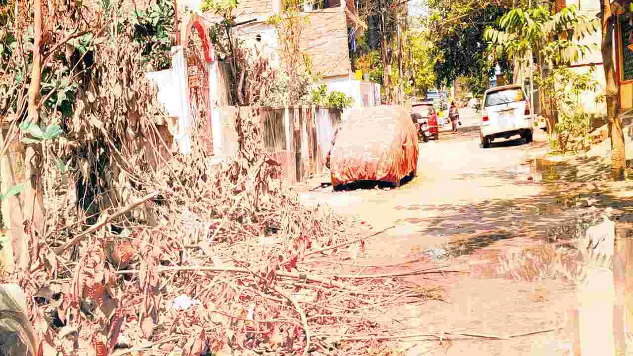 నరికేయడం..వదిలేయడం..
