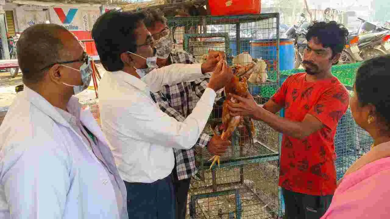 వీరమ్మ తిరునాళ్ల స్టాళ్లలో కోళ్ల మృతి