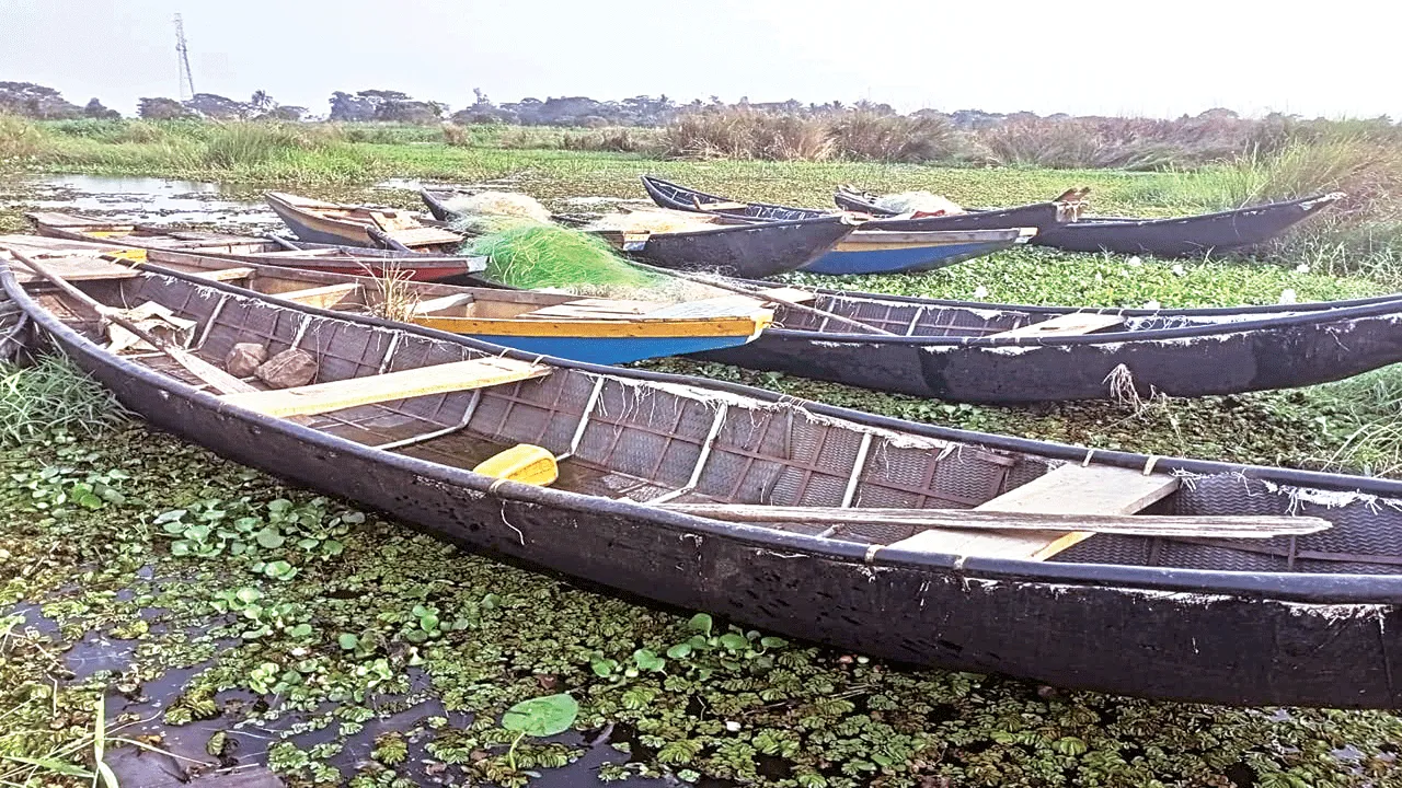 fishermen problems మత్స్య సంపద దక్కక.. లీజు చెల్లించలేక