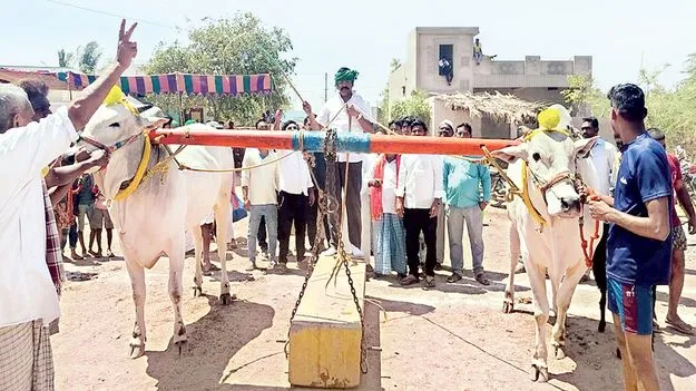 బండలాగుడు పోటీలు ప్రారంభం