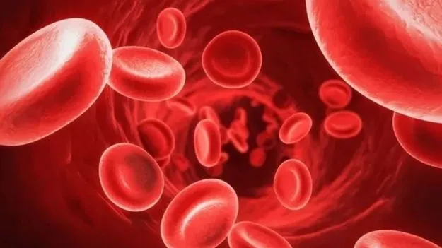 Anemia: నిత్యం ఈ సమస్యలు వేధిస్తున్నాయా.. అయితే రక్త హీనత ఉన్నట్టే..