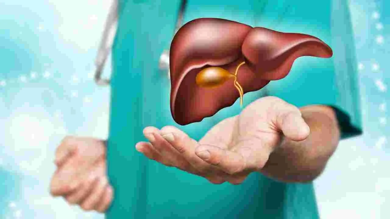 Liver Health: మీకు ఈ అలవాట్లు ఉంటే.. లివర్కు ముప్పు పొంచి ఉన్నట్టే