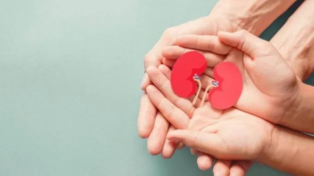 Kidney Fungal Infections: కిడ్నీల్లో ఫంగల్ ఇన్‌ఫెక్షన్.. ఈ సంకేతాలపై నిర్లక్ష్యం వహిస్తే డేంజర్