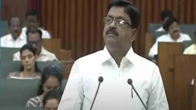 AP Budget 2025-26: తొలిసారిగా రూ.3 లక్షల కోట్లు దాటిన ఏపీ బడ్జెట్.. కారణాలు