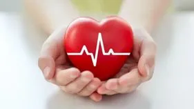 Cardiovascular Health: గుండె ఆరోగ్యం కాపాడుకోవాలంటే.. లైఫ్‌లో ఈ మార్పులు తప్పనిసరి!