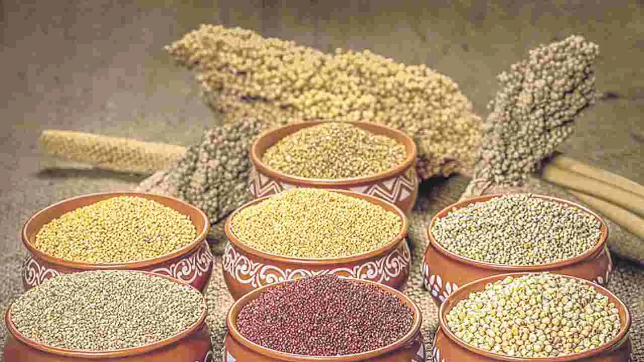Midday meals : మధ్యాహ్న భోజనంలో తృణధాన్యాలు!