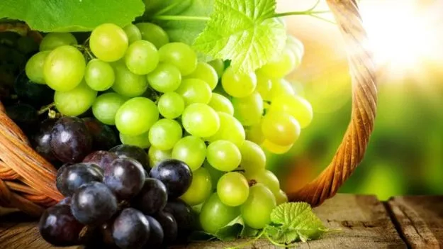 Green Grapes Vs Black Grapes: ఆకుపచ్చ ద్రాక్ష, నల్ల ద్రాక్ష.. ఈ రెండింటి మధ్య వ్యత్యాసాలు ఏటంటే.. 