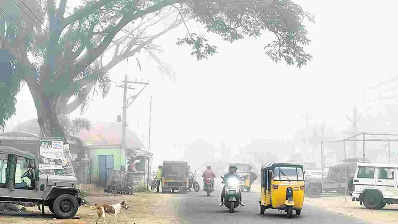 దట్టంగా పొగమంచు