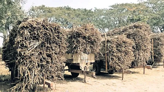 గోవాడకు తీరని కష్టాలు