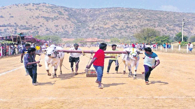 బండలాగుడు పోటీల్లో రాచర్ల ఎడ్లకు ప్రథమ స్థానం