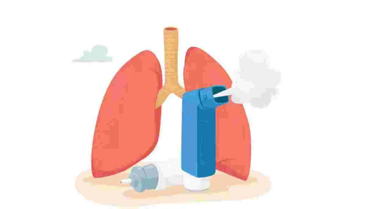 How to Prevent Ashtma : ఆస్తమా ఉన్నవారు ఈ 5 విషయాల్లో జాగ్రత్త..