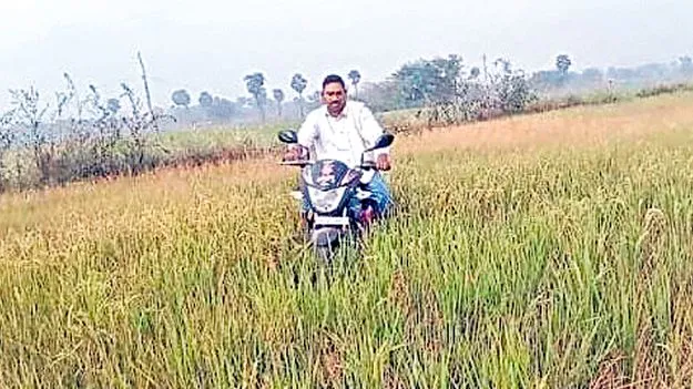 Water Scarcity: పంటలు ఎండుతున్నాయ్‌..  నీళ్లివ్వండి