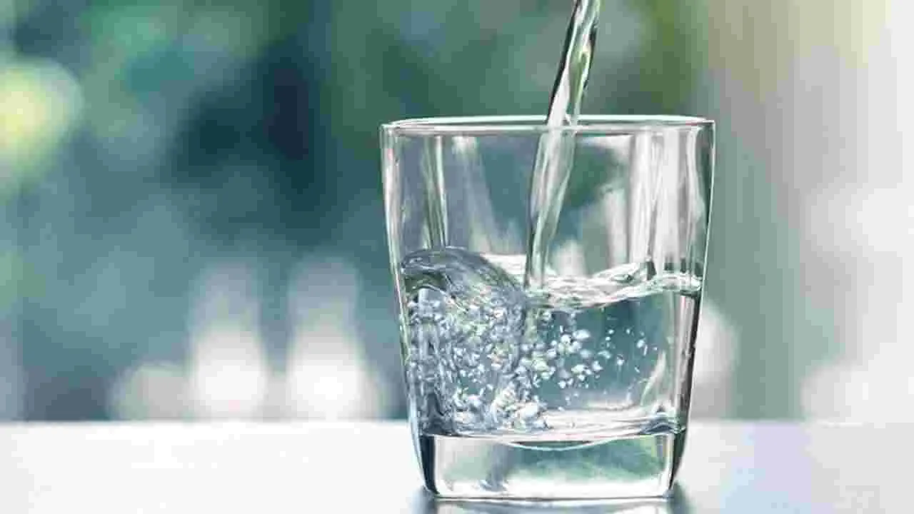 Water Purifying Tips: ఆర్ఓ ఫిల్టర్ లేని వారు ఈ టిప్స్ పాటిస్తే నీటి కాలుష్యం నుంచి విముక్తి