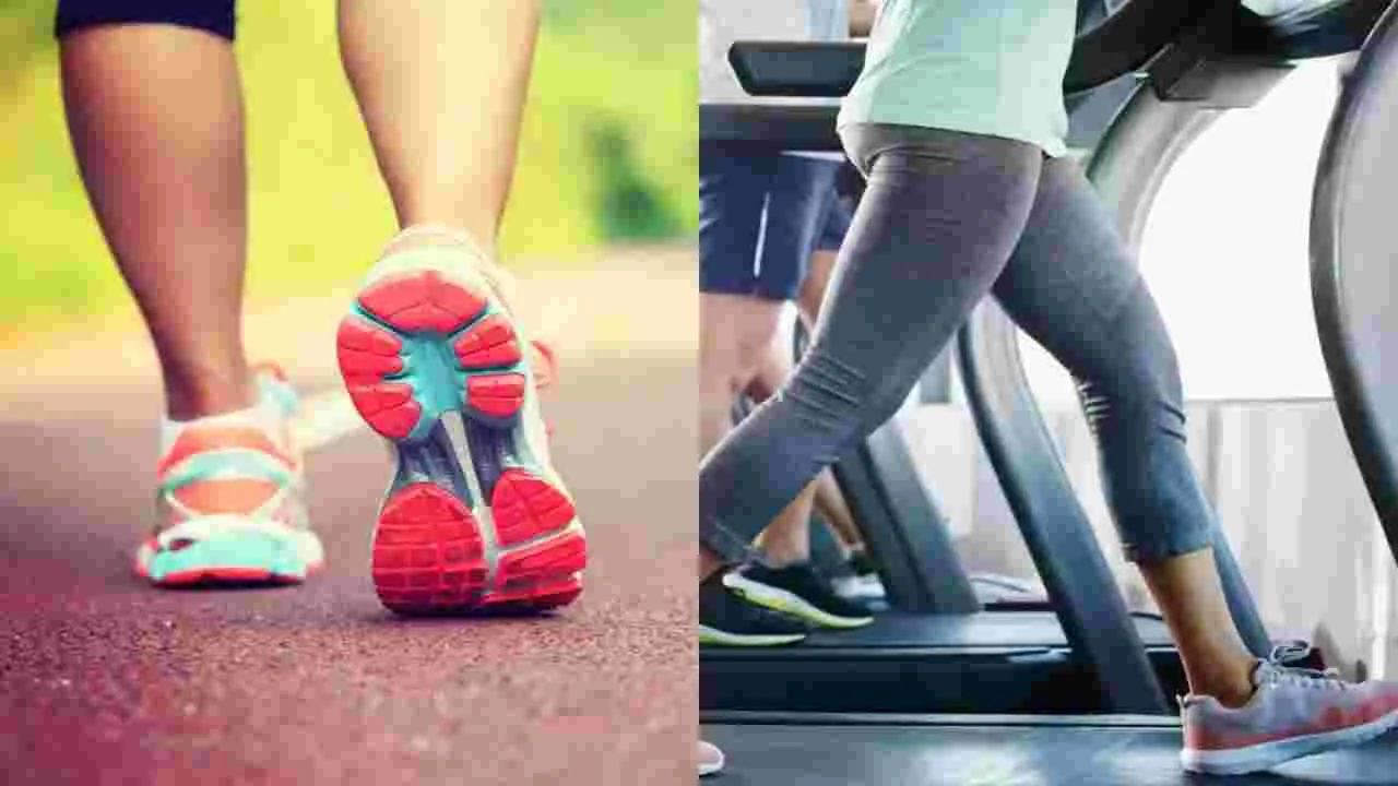 Treamill Vs Outdoor Waking: ట్రెడ్‌మిల్‌పై నడక కంటే బయట వాకింగ్ చేయడమే బెటరా.. శాస్త్రవేత్తలు ఏం చెబుతున్నారంటే.. 