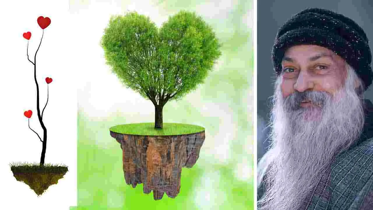 ప్రేమ శాశ్వతమే కానీ...