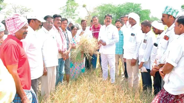 ప్రభుత్వం రైతులను ఆదుకోవాలి