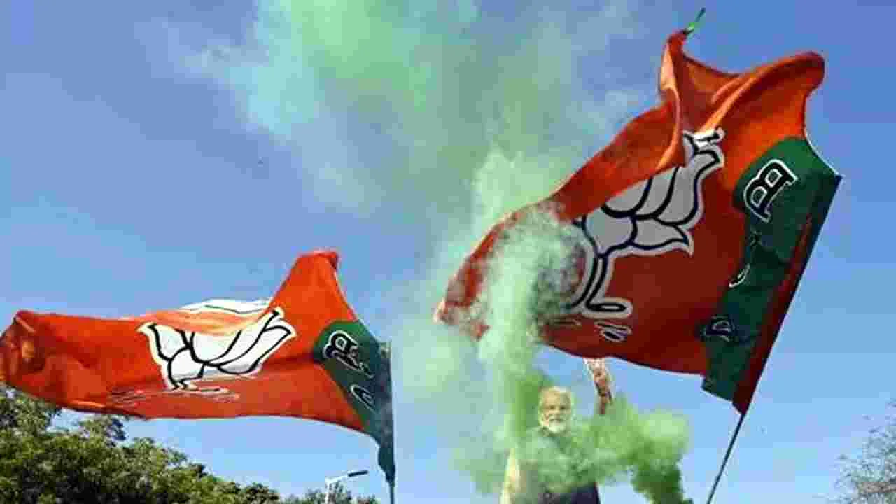 BJP: ఛత్తీస్‌గఢ్ ‘స్థానిక’ ఎన్నికల్లో బీజేపీ హవా