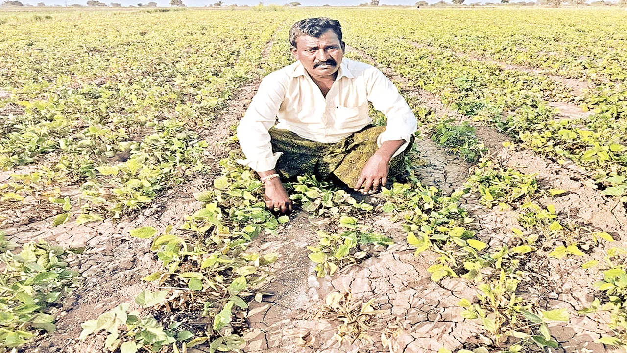 ముంచిన మినుములు