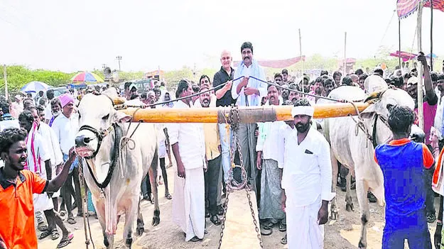 COMPETITIONS ;  రాతి దూలం లాగుడు పోటీలు