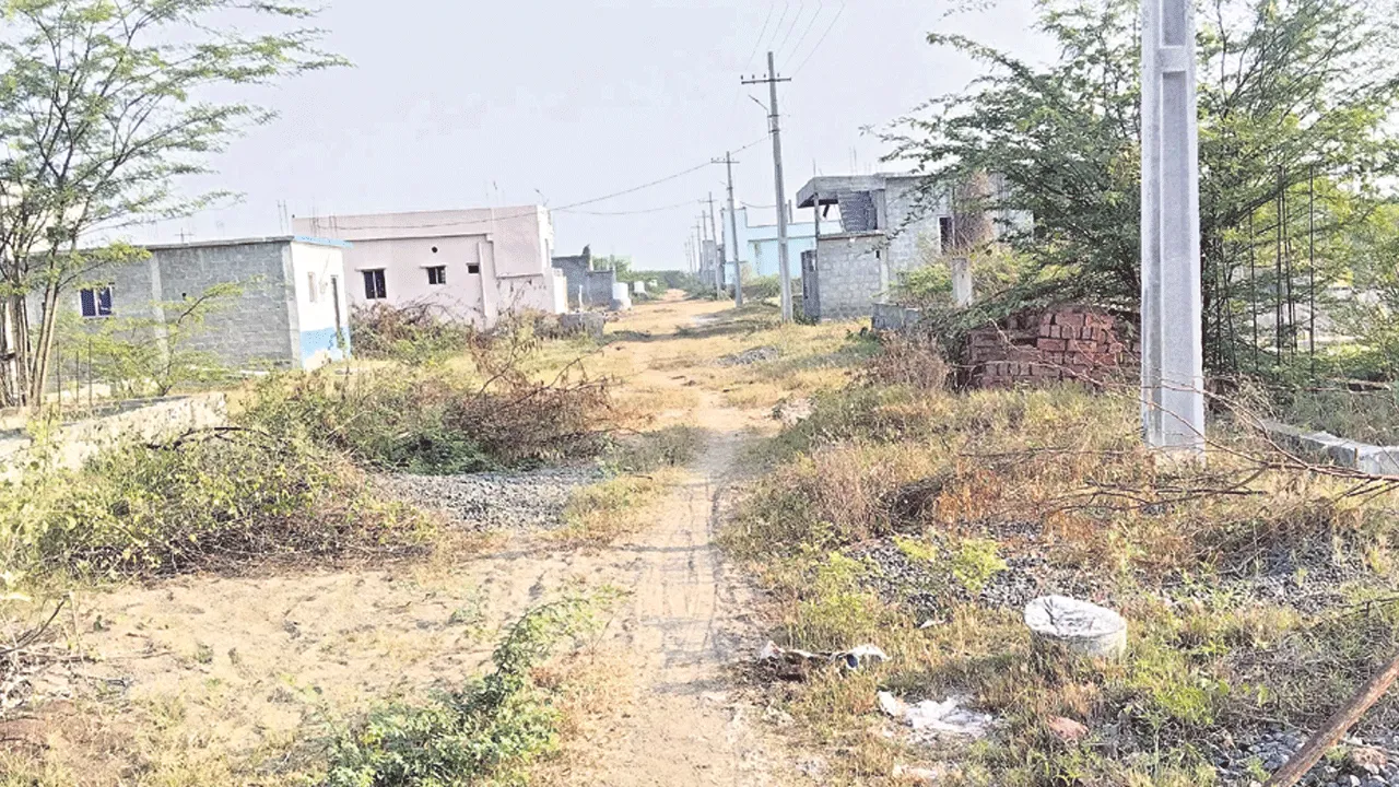 నాడు ఆర్భాటంగా జగనన్న కాలనీలు
