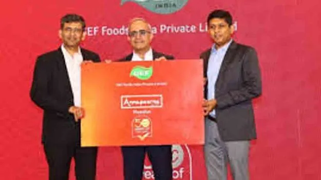 మసాలాల తయారీలోకి జెమినీ ఎడిబుల్స్