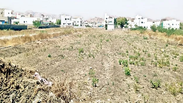 వెలుగులోకి భూ కబ్జాలు