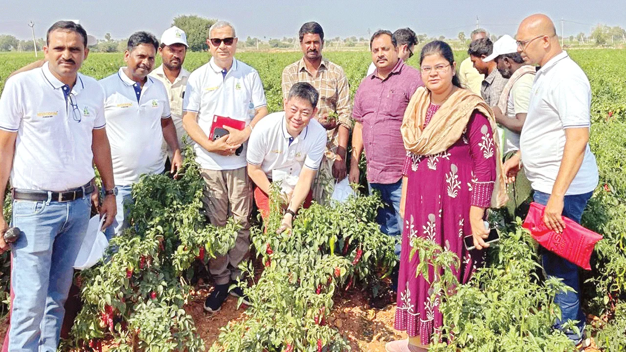 యాజమాన్య పద్ధతితో అధిక దిగుబడులు