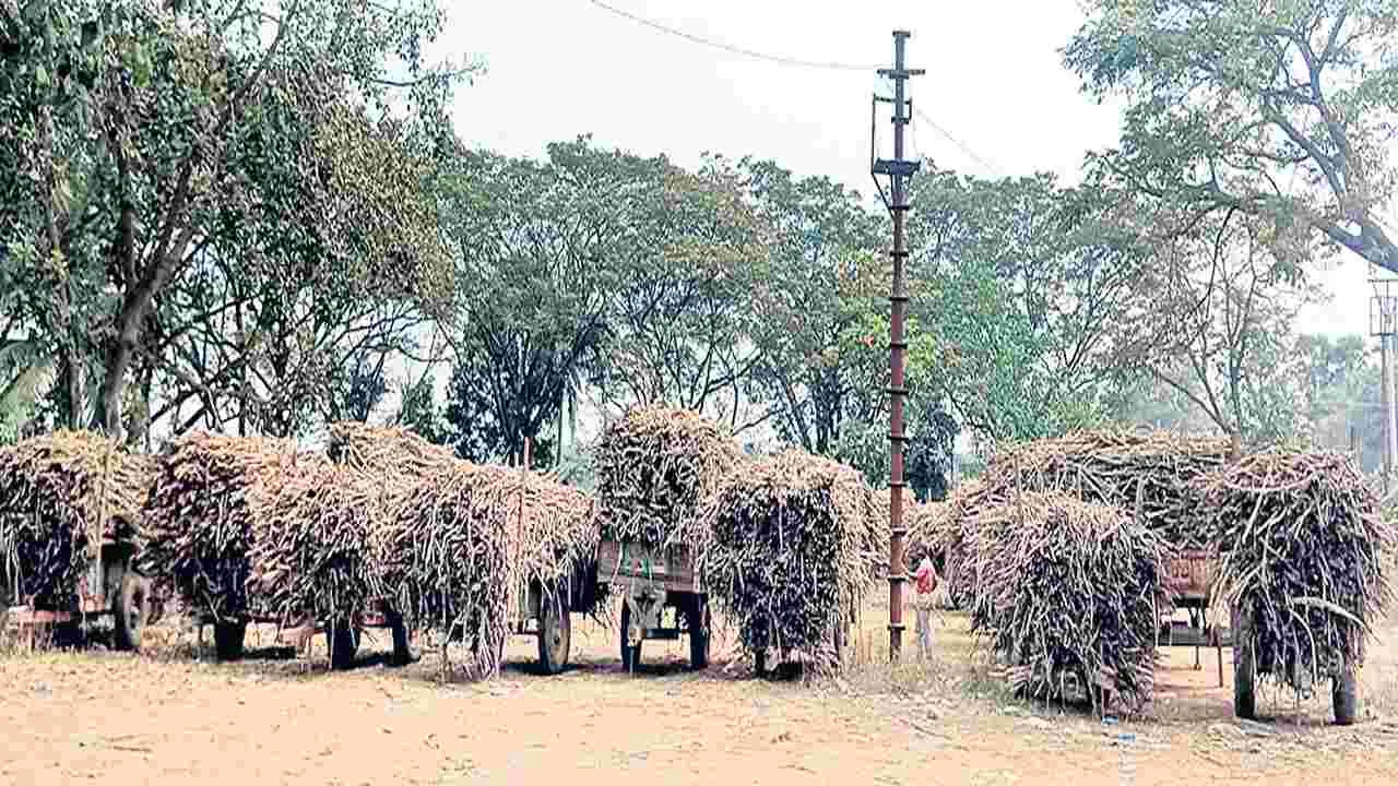 క్రషింగ్ జాప్యం.. రైతులకు శాపం