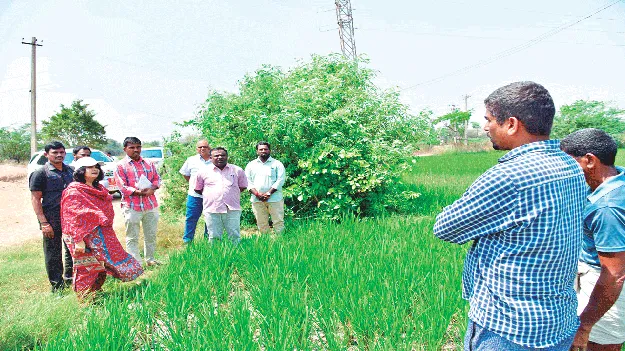 సాగునీటిని పొదుపుగా వాడుకోవాలి