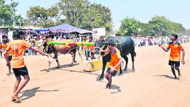 STONE BEAM: రాతిదూలం లాగుడు పోటీలు 